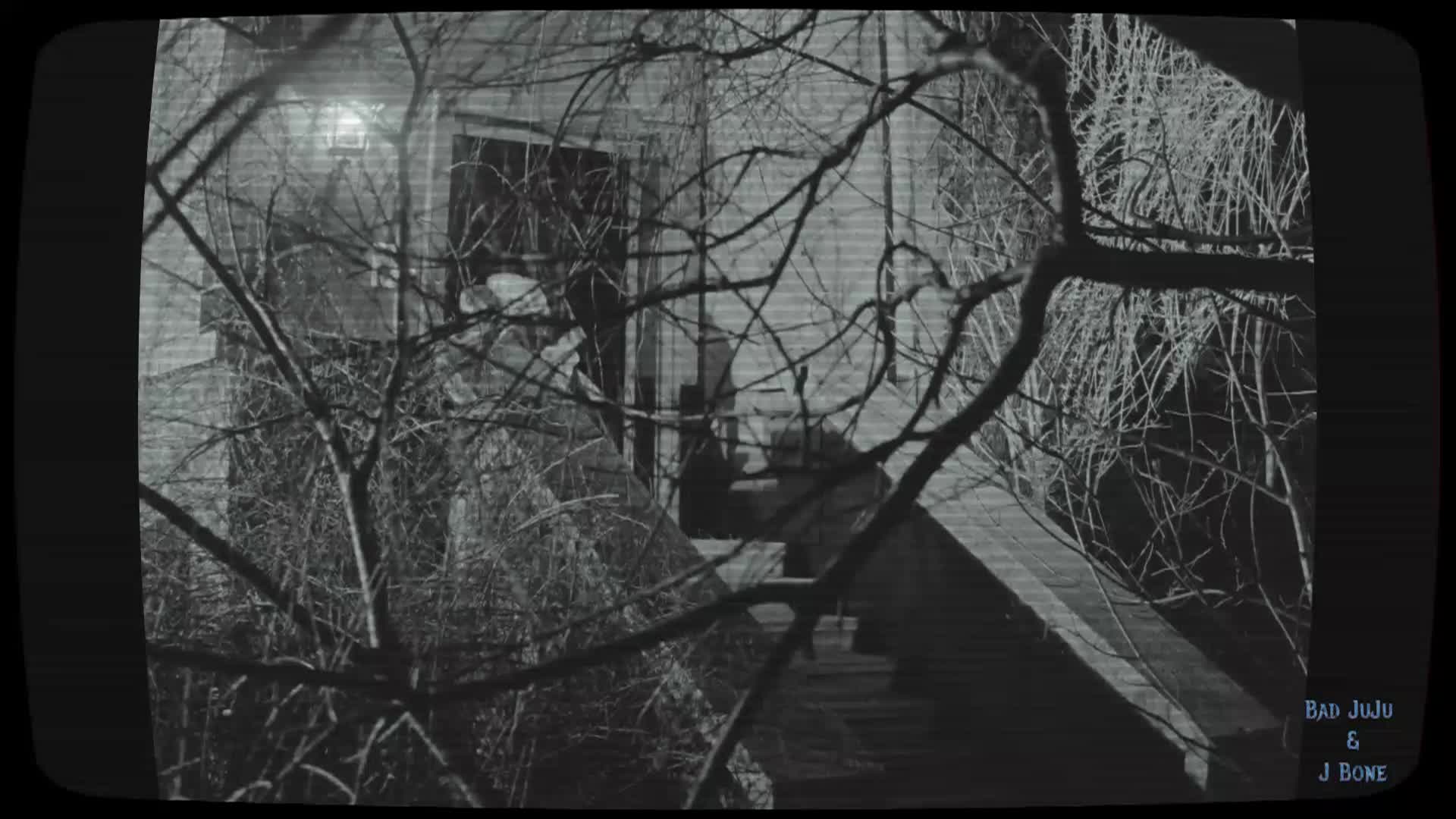 Black and white picture of a large white building seen through tree branches