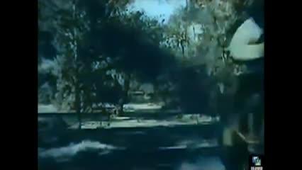 Old film picture of a wooded lane