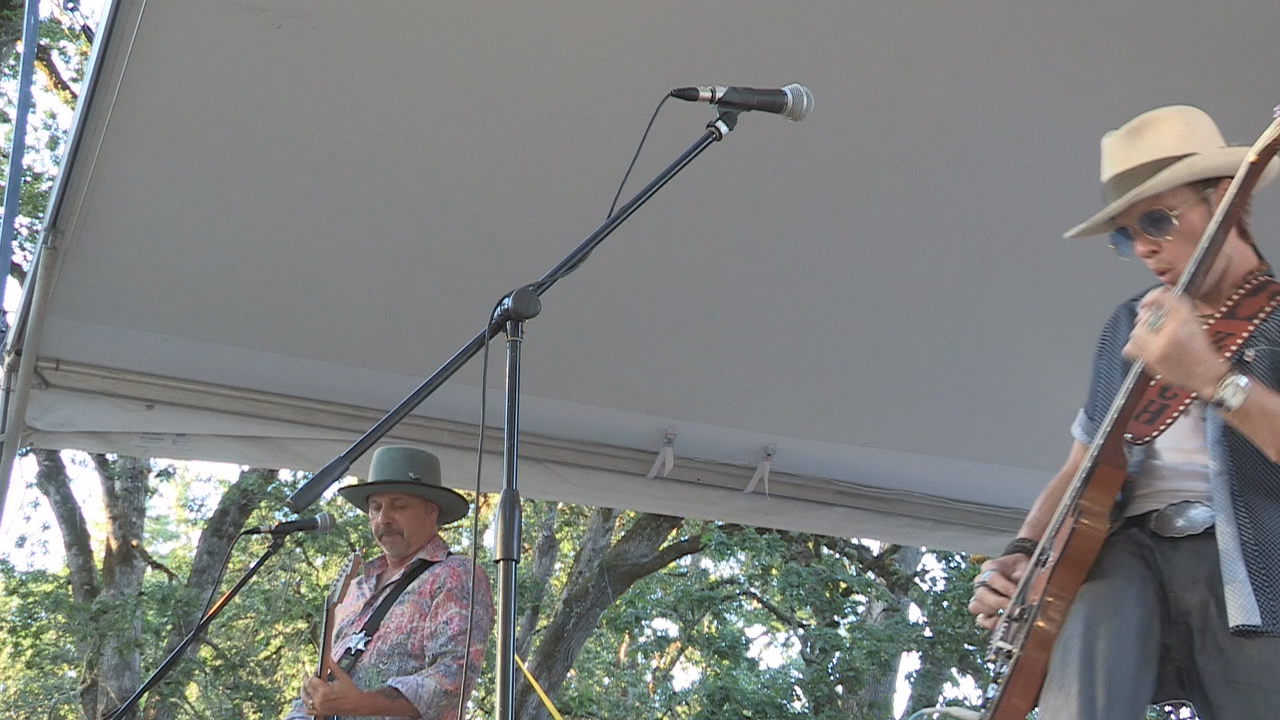 Too Slim & the Taildraggers