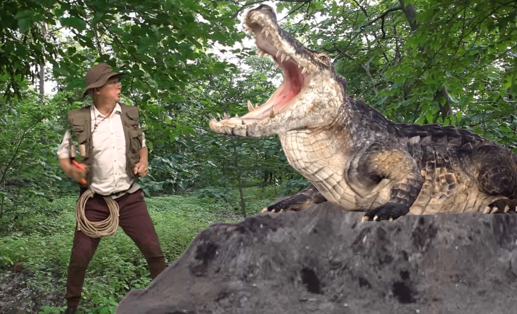 Thumbnail image for Its a Jungle Out There