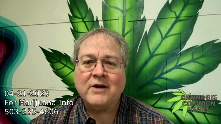 Man in a button up shirt to the left with a cannabis leaf in the background. 