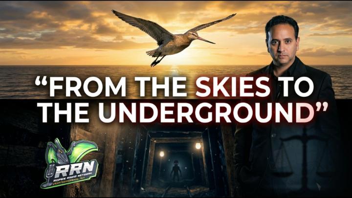 Sunset background with gull in the center. Man dressed in black standing to the right. Words in the center: "From the Skies to the Underground"