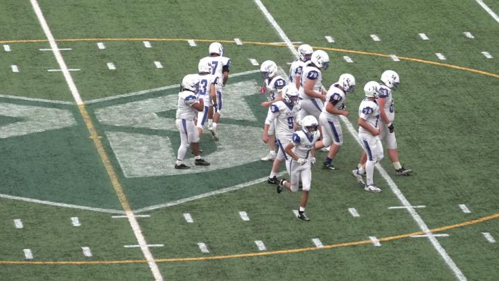 Green football field with a PS logo in the center. Players in white uniforms on field