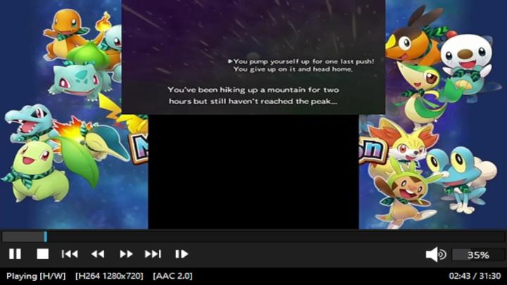 Computer screen with pokemon characters on the side.