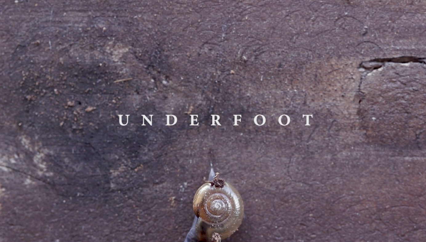 Thumbnail image for Underfoot