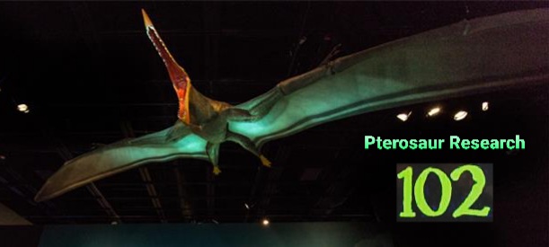 Pterosaur Research 102