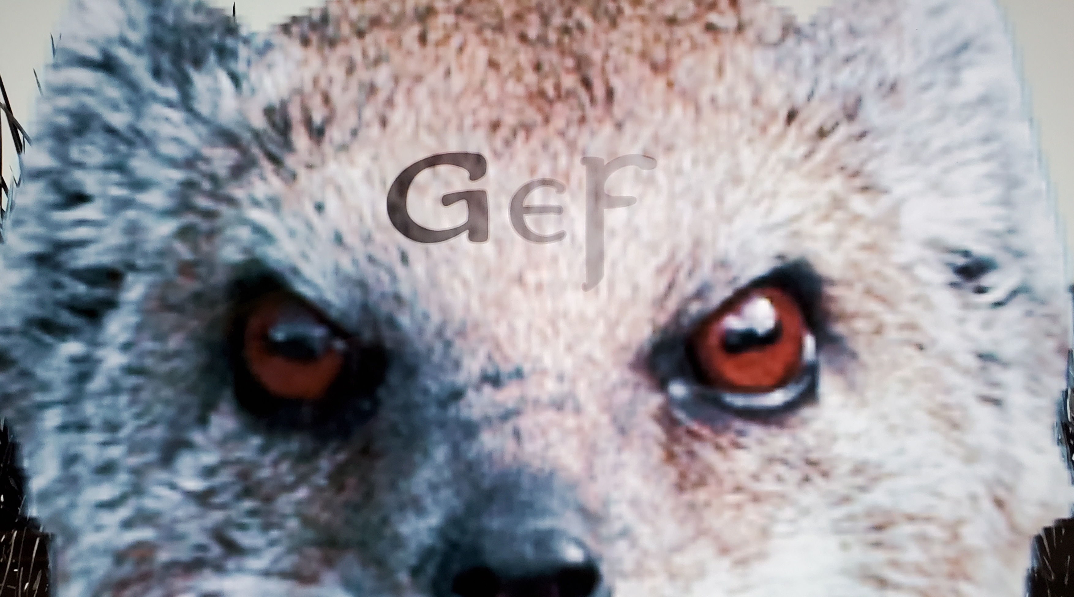 GEF-The Strange Tale of an Extra Special Talking mongoose