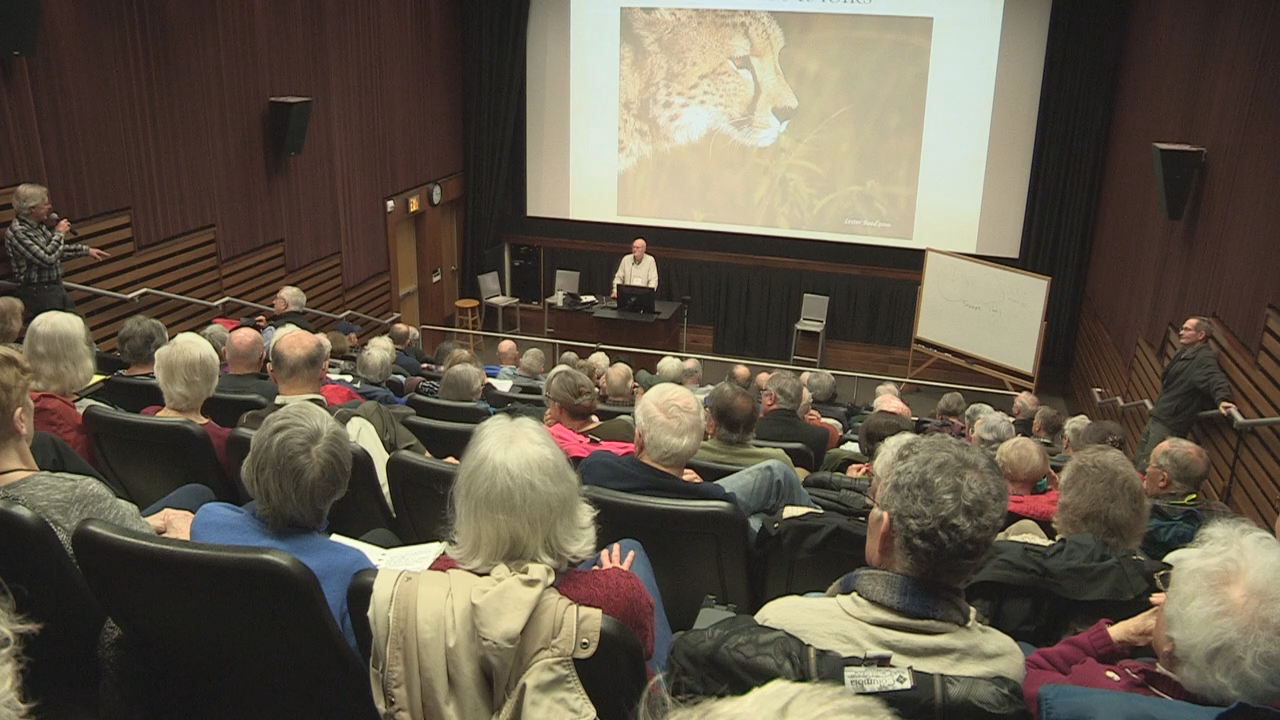 Thumbnail image for Institute for Continued Learning - Big Cats of the World