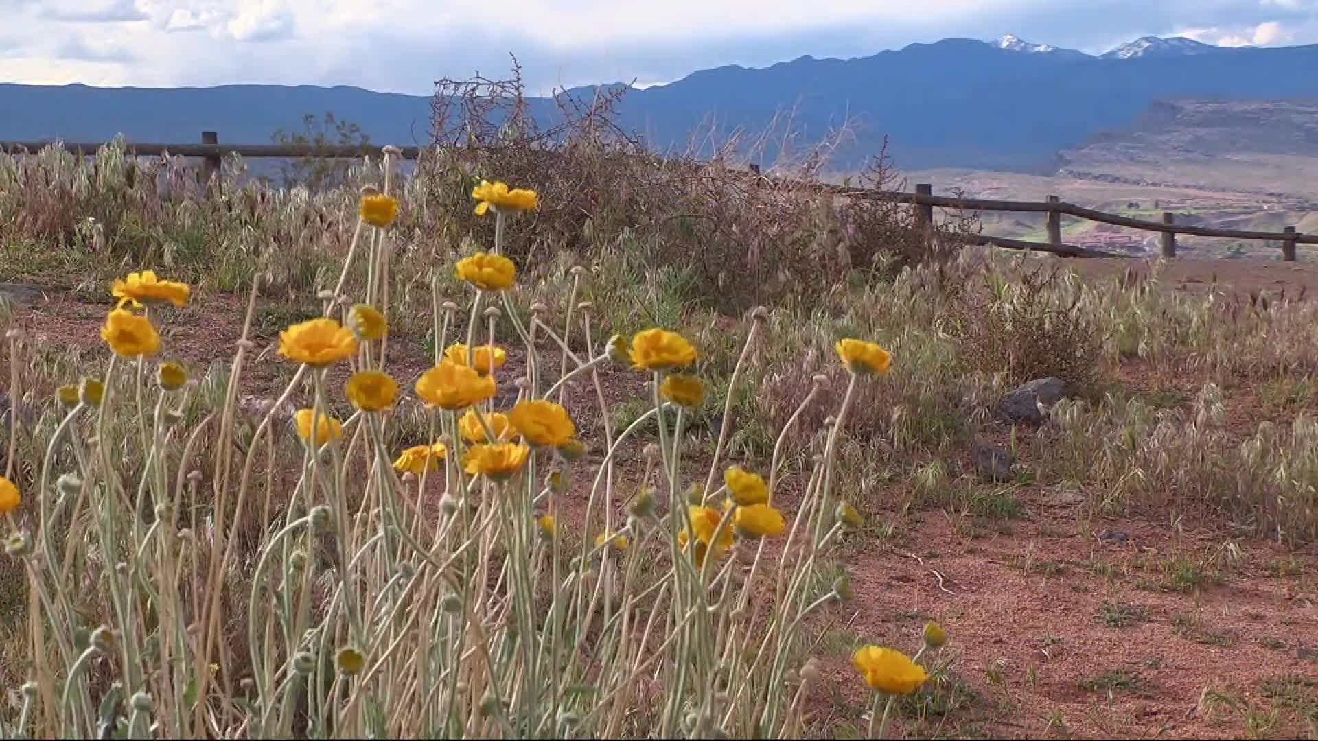 Thumbnail image for Music & The Spoken Word -National Park Service America's Best Idea