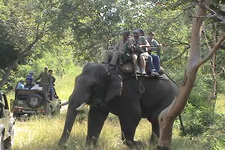 Travel with Sandy and Gail - Episode 5 - Northern India