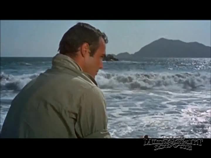 Thumbnail image for The Midnight Movie - Shark