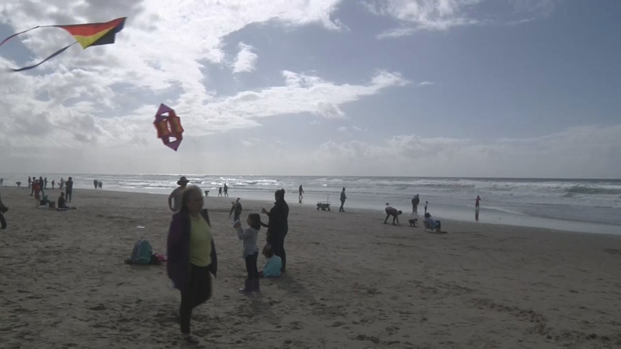 Kite Festival at Lincoln City