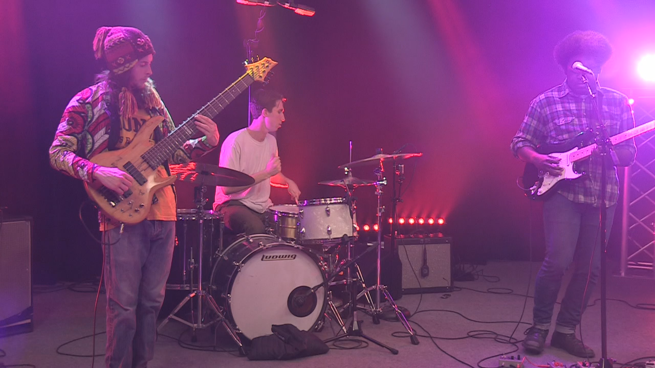 Local Roots - Bitches of the Sun