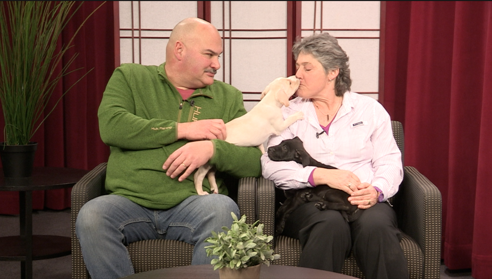 Thumbnail image for InSight - Savin' Juice Medical Dog Rescue